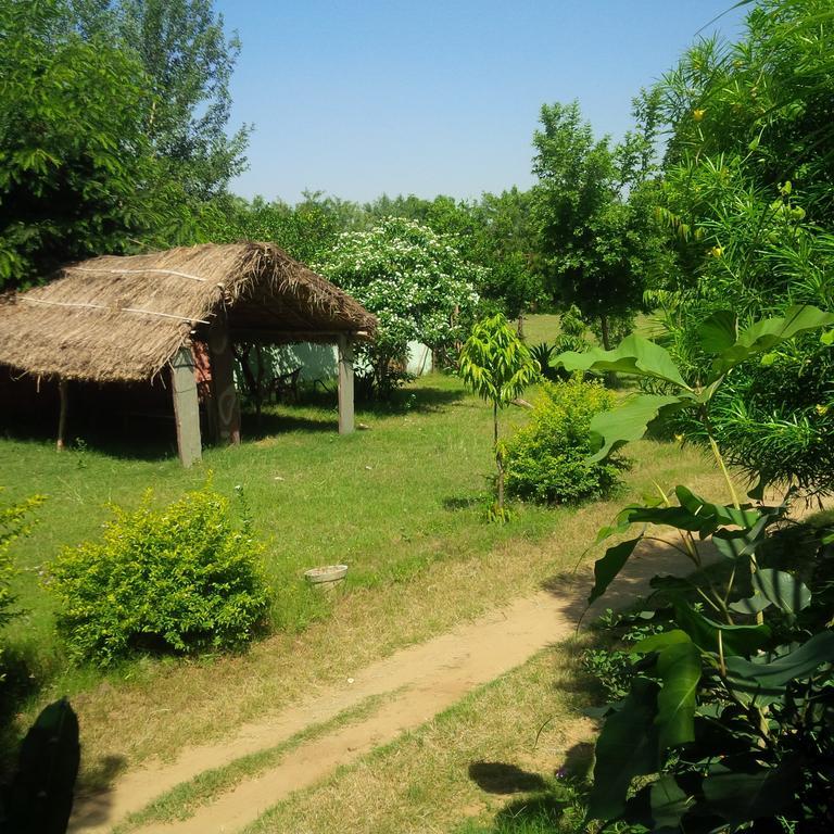 Adb Rooms Amer Resort Ranthambore Bagian luar foto
